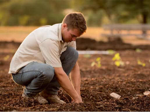 Man planting seeds in garden